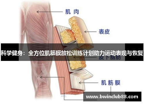 科学健身：全方位肌筋膜放松训练计划助力运动表现与恢复
